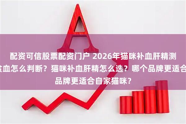 配资可信股票配资门户 2026年猫咪补血肝精测评：猫咪贫血怎么判断？猫咪补血肝精怎么选？哪个品牌更适合自家猫咪？