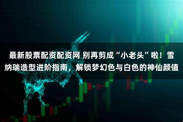 最新股票配资配资网 别再剪成“小老头”啦！雪纳瑞造型进阶指南，解锁梦幻色与白色的神仙颜值
